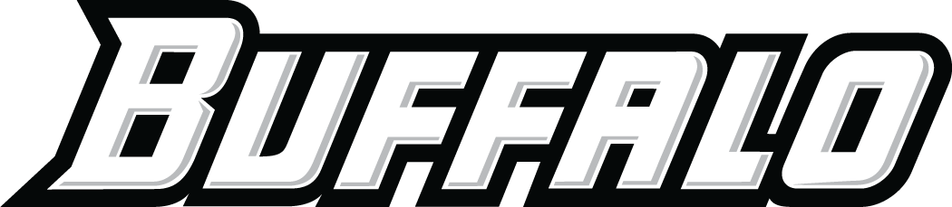 Buffalo Bulls 2007-Pres Wordmark Logo v2 diy iron on heat transfer